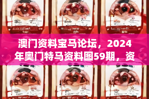 澳门资料宝马论坛，2024年奥门特马资料图59期，资本解答解释落实_V版38.71.34