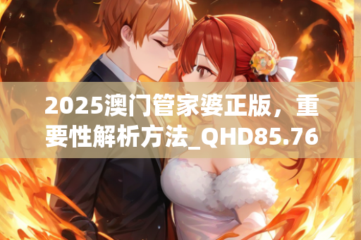 2025澳门管家婆正版，重要性解析方法_QHD85.76