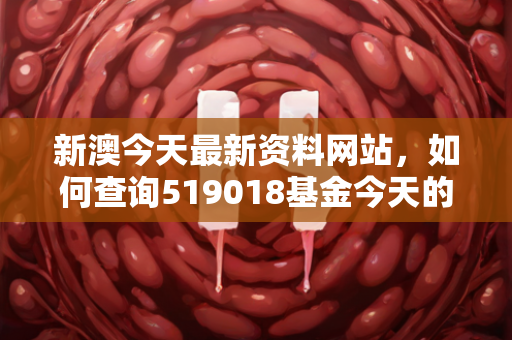 新澳今天最新资料网站，如何查询519018基金今天的最新净值报告