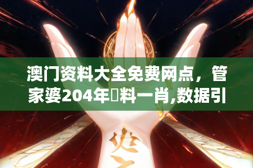 澳门资料大全免费网点，管家婆204年資料一肖,数据引导设计策略_复刻款73.204