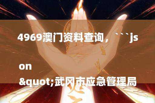 4969澳门资料查询，```json
"武冈市应急管理局未来发展规划概览